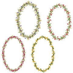 Vector floral oval frames for your design