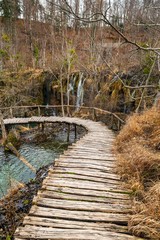 Road in the forest at autumn