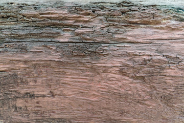 Obraz na płótnie Canvas Weathered brown wood