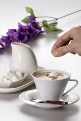 Throwing a sugar cube to the coffee