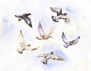 Obraz premium flying birds watercolor