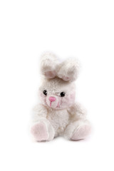 Sitting white stuffed bunny