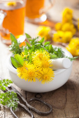 coltsfoot flowers spring herbs in mortar and herbal tea