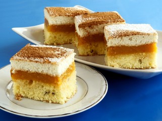 tasty fruit cake with apples