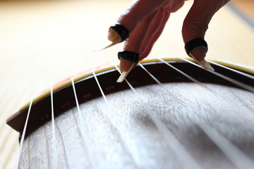 日本の伝統的な楽器の琴を女性が演奏ぼかした背景