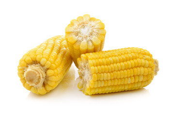 corn on white background