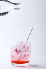 Fresh pink flower frozen in ice cubes for summer drinks