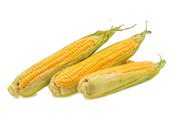 An ear of corn isolated on a white background