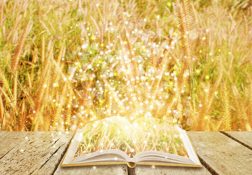 Open Magic Book With Gold Nature Background