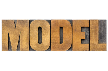 model word typography