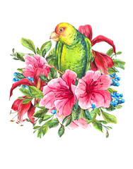 Exotic Vintage Card with Tropical Flowers, Parrots