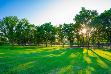 Beautiful green lawn in city park under sunny light