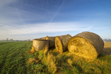 Snopki siana na polu © Mike Mareen