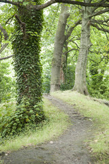 St Stephans Green Park, Dublin