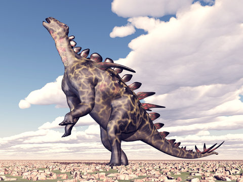 Dinosaur Huayangosaurus