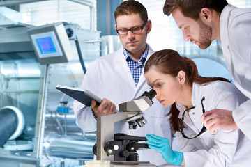 Group of scientists working at the laboratory