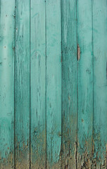 grungy aged wooden door in blue detail