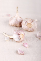 small garlic