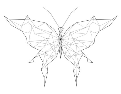 Butterfly. Low polygon linear vector illustration