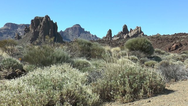 d&eacute;sert