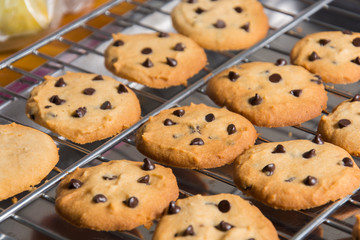 Freshly baked chocolate chip cookies on cooling rack.