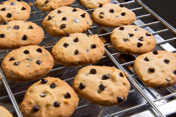Freshly baked chocolate chip cookies on cooling rack.
