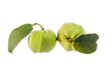 guava on white background