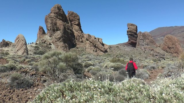 trekking