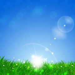 Obraz premium Green Spring Grass Background