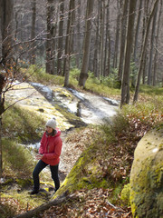 Fototapeta premium Girl walking in the forest.