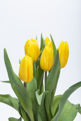 Flower bouquet from yellow tulips