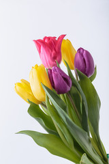 Naklejka premium Flower bouquet from colorful tulips