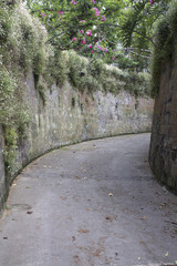 Narrow road with flowers in Sorrento, Italy.