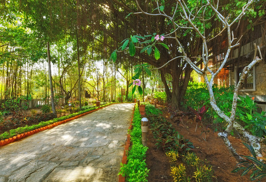 asian tropical garden