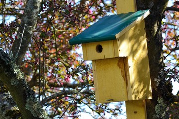 Nichoir jaune à oiseaux