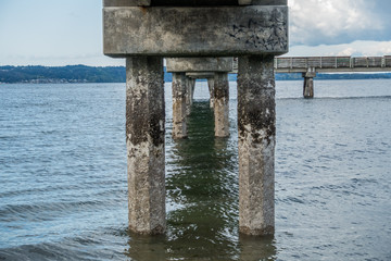 Beneath Dash Point Pier 1