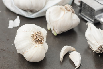 garlic on dark background