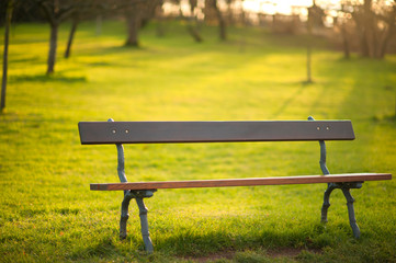 Bench in the park