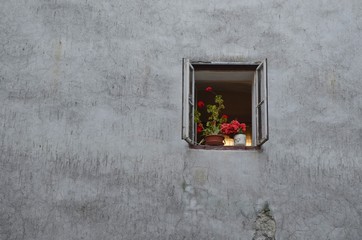 Old windows