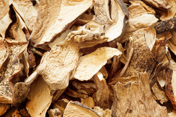 Dried porcini mushrooms