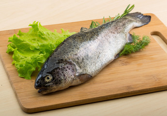 Raw fresh trout