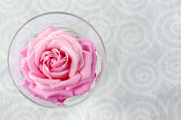 Beautiful fresh rose in glass on color wallpaper background