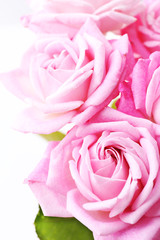 Bouquet of beautiful fresh roses, closeup