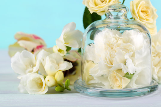 Fototapeta Beautiful composition with flowers on turquoise background