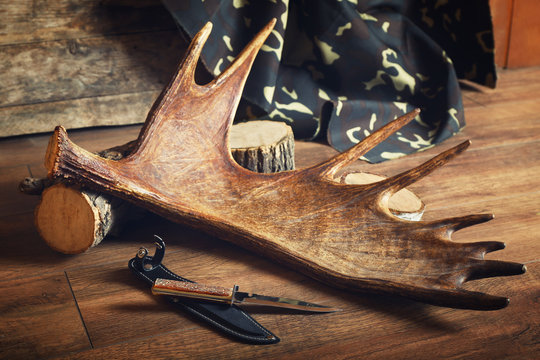 Moose antler with hunting knives on wooden background