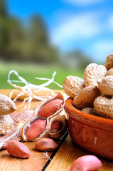 Group of peanuts in the field vertical composition
