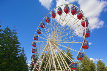 Fototapeta premium Ferris wheel on blue sky