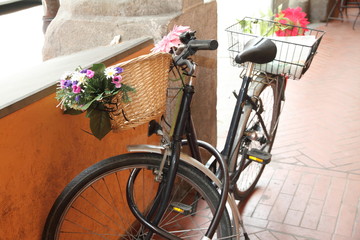 Fototapeta na wymiar Flowered bike, Arcades, Bologna, Emilia Romagna, Italy
