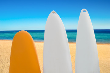 three surfboards