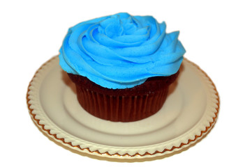 Cupcake Heaven